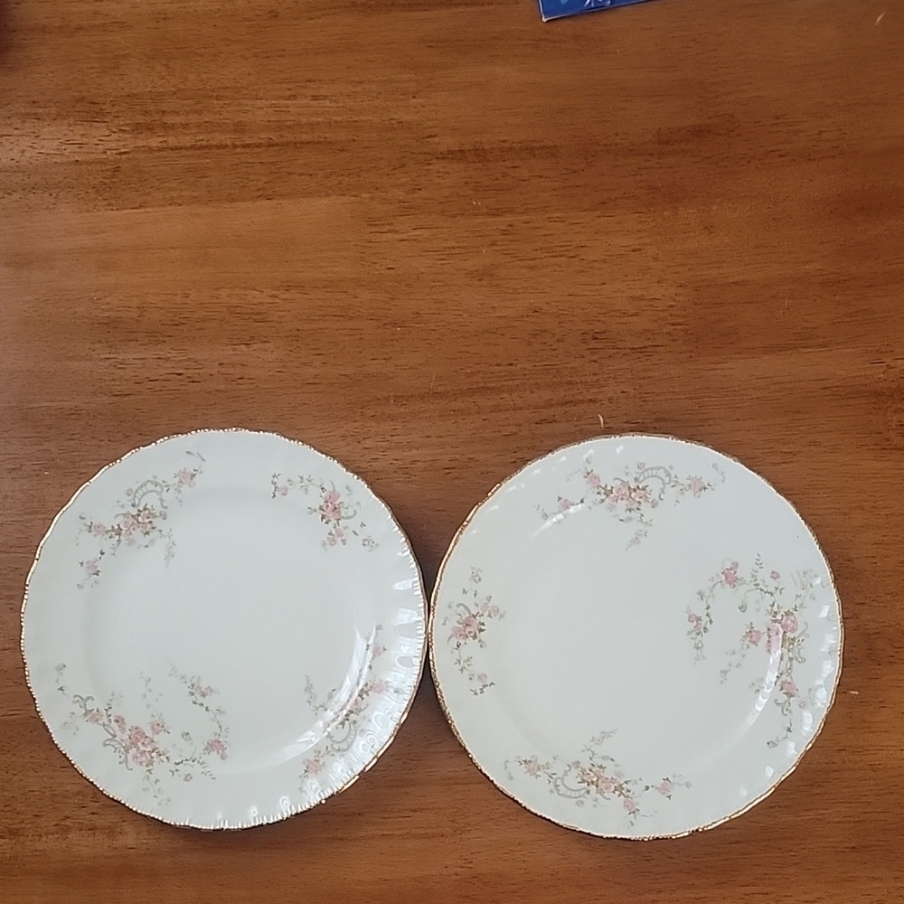 Vintage Pope Gosser 8 1/2 Inch Lunch Plate- Set Of 2